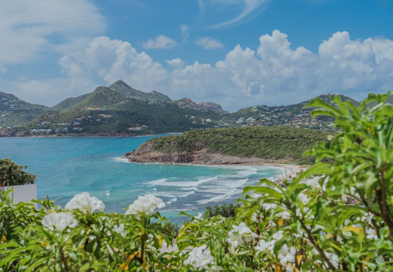 Villa in Saint Barthélemy - AMANCAYA COSY 