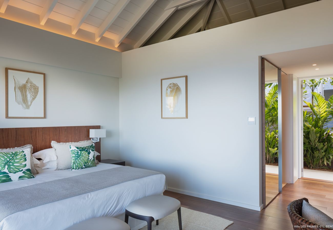 Villa in Saint Barthélemy - Les Palmes