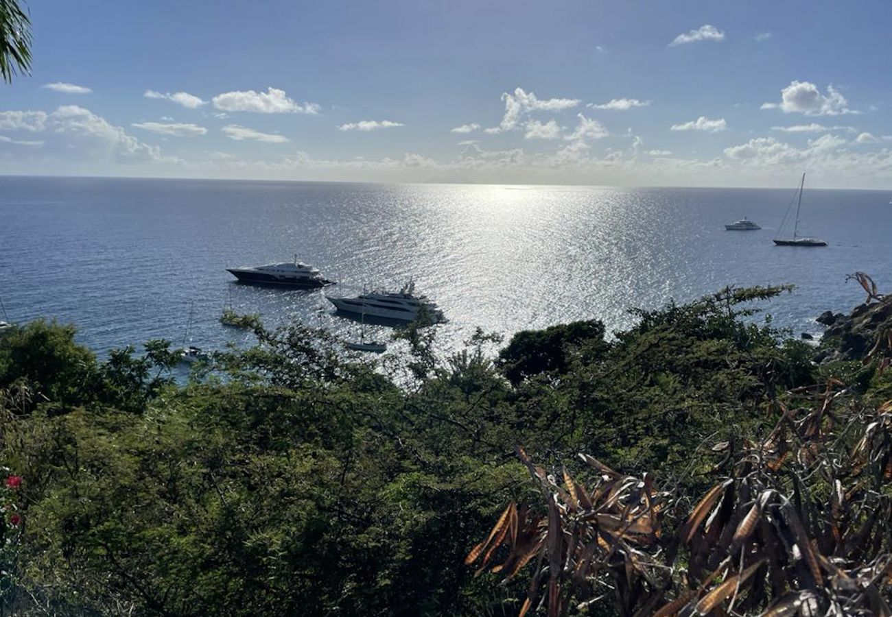 Parcelle à Saint Barthélemy - LAND LURIN